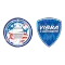 Copa America 2024(美洲杯EL)