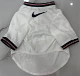 2026-27 England home white pet  Soccer Jersey
