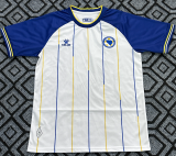 2026-27 Bosnia and Herzegovina away Fans Soccer Jersey