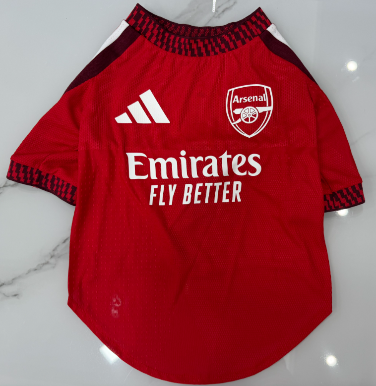 2026-27  Arsenal pet red Soccer Jersey