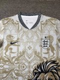 2026-27 England  Special Edition Fans Soccer Jersey