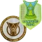 Brasileirao A2025+CAMPEAO2024 (巴甲+联赛胸前冠)