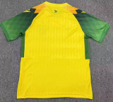 2026-27 Mens Nantes home yellow Fans Soccer Jersey