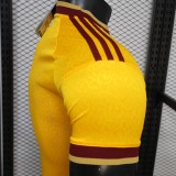 2026-27 Mens Spain special edition yellow Player Version soccer  Jersey