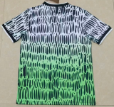 2026-27 Nigeria special edition green Fans Soccer Jersey