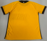 2026-27 Botafogo Yellow Goalkeeper Soccer Jersey