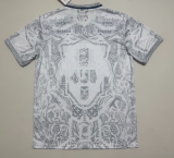 2026-27 Mens  Portugal special edition gray soccer jersey