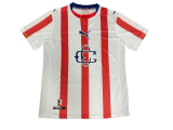 2026 Chivas Guadalajara 120th Anniversary Player Version Soccer Jersey