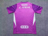 2025-26 Mens Tigres UANL goalkeeper Purple Player version soccer jersey