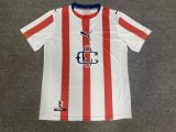 2026 Chivas Guadalajara 120th Anniversary Player Version Soccer Jersey