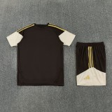 2026-27 Mens Flamengo  brown Training Short Suit