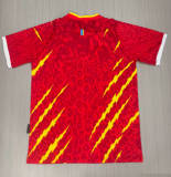 2026-27 Mens Democratic Congo third away red Fans Soccer Jersey