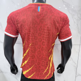 2026-27 Mens Democratic Congo third away Player version Soccer Jersey