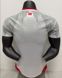 2026-27 Mens Tunisia away white Player version soccer jersey