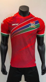 2025-26 Mens Gambia Home Player Version Soccer Jersey