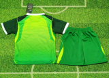 2026-27 Kids Nigeria  away green soccer Jersey