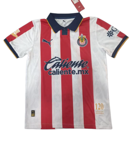 2026 Chivas Guadalajara Special Edition Fans Soccer Jersey