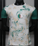 2026-27 Algeria Special Edition Player Version soccer jersey