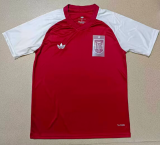 2026-27 Spain red Casual Edition Fans Soccer Jersey