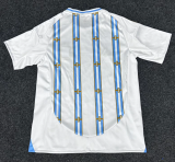 2026-27 Argentina White Special Edition Training shirts (金边)