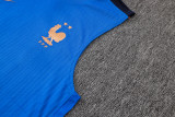2026-27 Mens France Blue vest Player version Short training suit