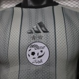 2026-27 Algeria Special Edition gray Player Version soccer jersey
