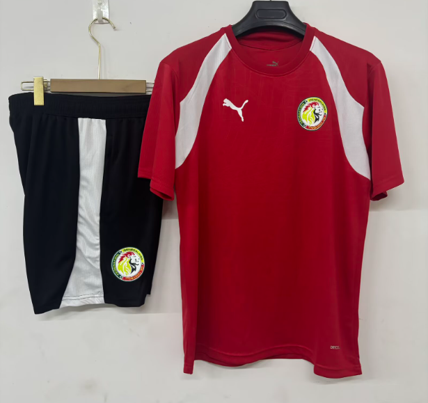 2026-27 Senegal  Red Training Short Suit
