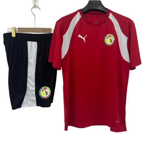 2026-27 Senegal  Red Training Short Suit
