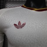 2026-27 Mens Spain away Player version Long Sleeve soccer Jersey (Have two star ⭐⭐）