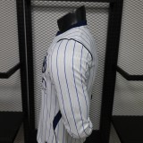 2026-27 Inter Milan away Long Sleeve Player Version Soccer Jersey