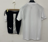 2026-27 Morocco white Training Short Suit
