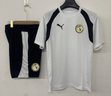 2026-27 Senegal  white Training Short Suit