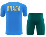 2026-27 Mens Brazil blue Short training suit