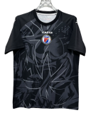 2026-27 Mens Haiti goalkeeper gray Soccer Jersey