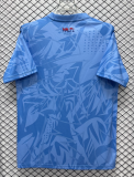 2026-27 Mens Haiti goalkeeper blue Soccer Jersey