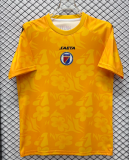 2026-27 Mens Haiti goalkeeper yellow Soccer Jersey