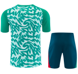 2026-27 Mens Portugal green short  training Short suit