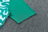 2026-27 Mens Portugal green short  training Short suit