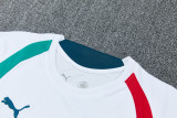 2026-27 Mens Portugal white short  training Short suit