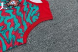 2026-27 Mens Portugal red green short vest training Short suit