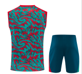 2026-27 Mens Portugal red green short vest training Short suit