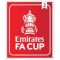 FA CUP (英足总杯2次)