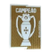 CAMPEAO(葡超胸前冠军)