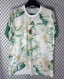 2026-27 Algeria White Special Edition Soccer Jersey