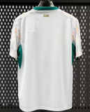 2026-27 Senegal home Soccer Jersey (have two stars ⭐⭐)