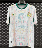 2026-27 Senegal home Soccer Jersey (have two stars ⭐⭐)