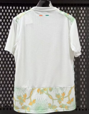 2026-27 Mens Ivory Coast  away soccer Jersey