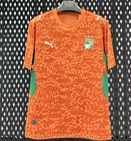 2026-27 Mens Ivory Coast  home Orange  soccer Jersey