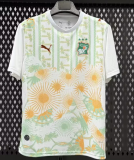 2026-27 Mens Ivory Coast  away soccer Jersey