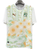 2026-27 Mens Ivory Coast  away soccer Jersey